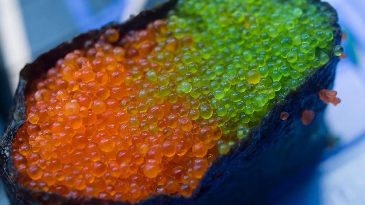 美食日本寿司图片