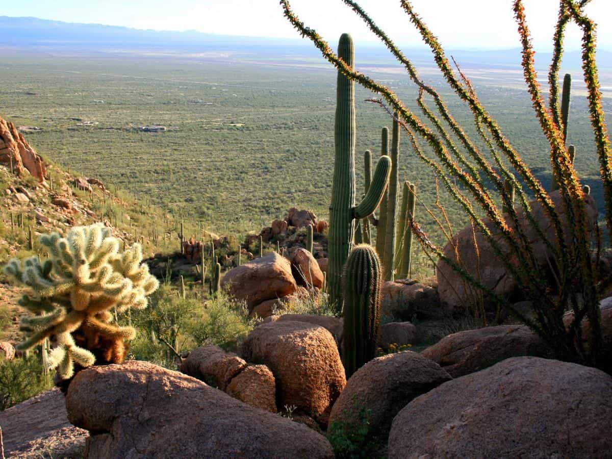 超高清沙漠戈壁风景图片