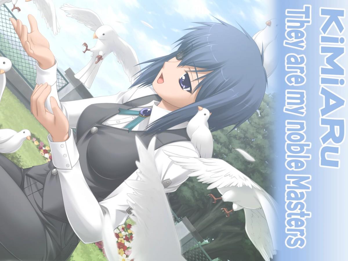 你是主人我是仆动漫图片