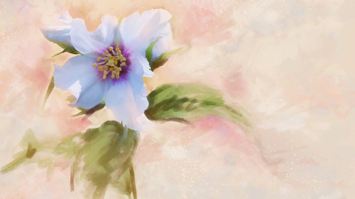 手绘花卉水彩画图片