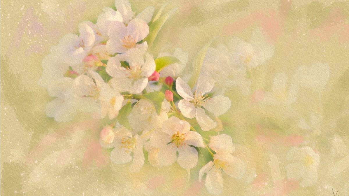 手绘花卉水彩画图片