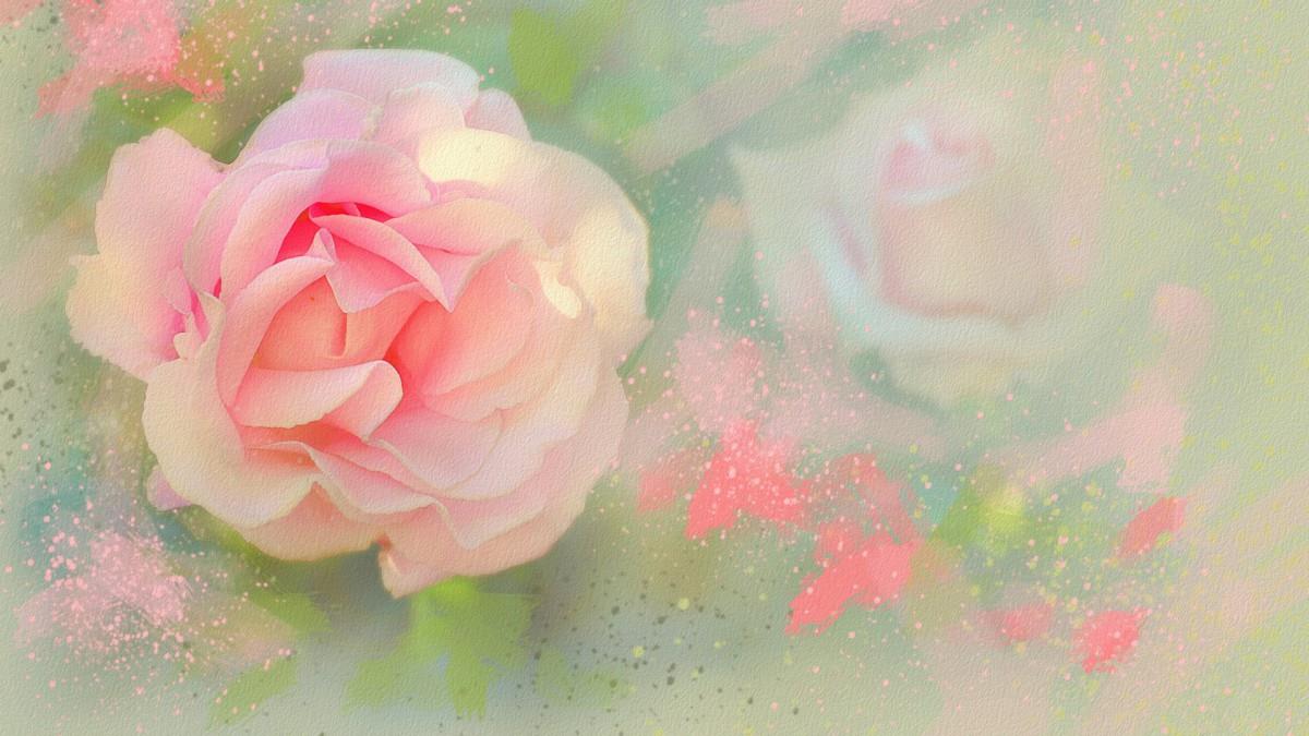 手绘花卉水彩画图片