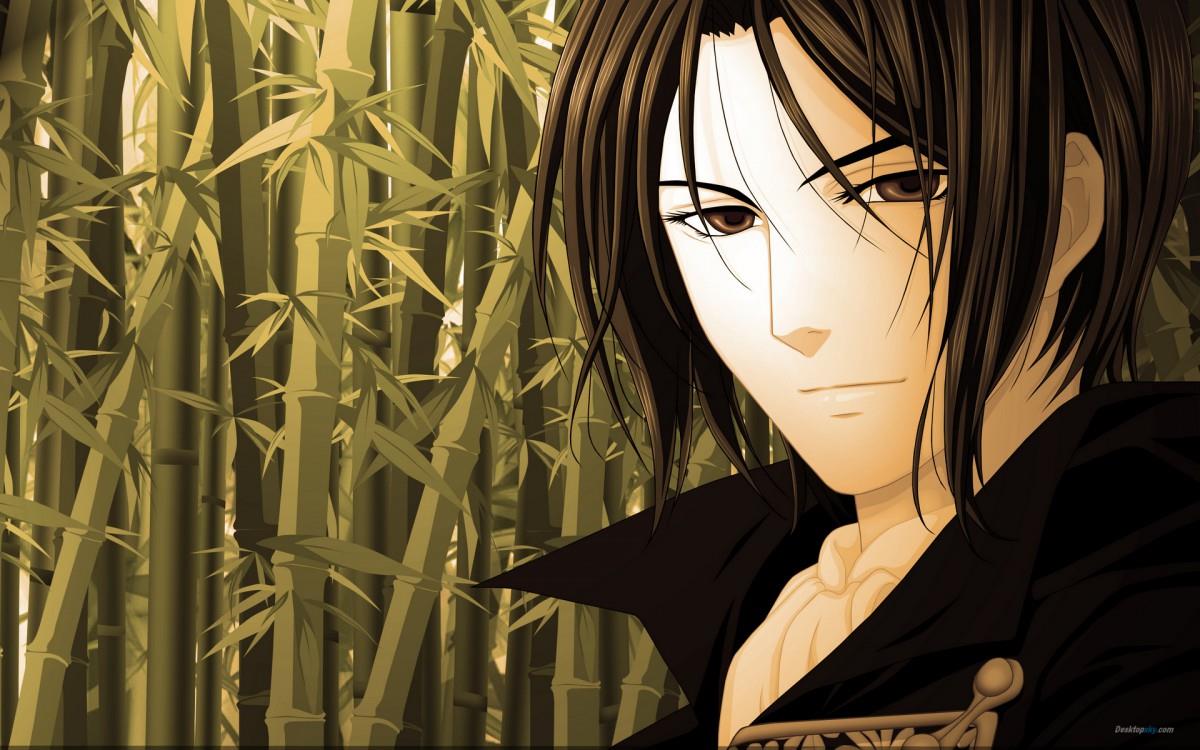 薄樱鬼动画图片