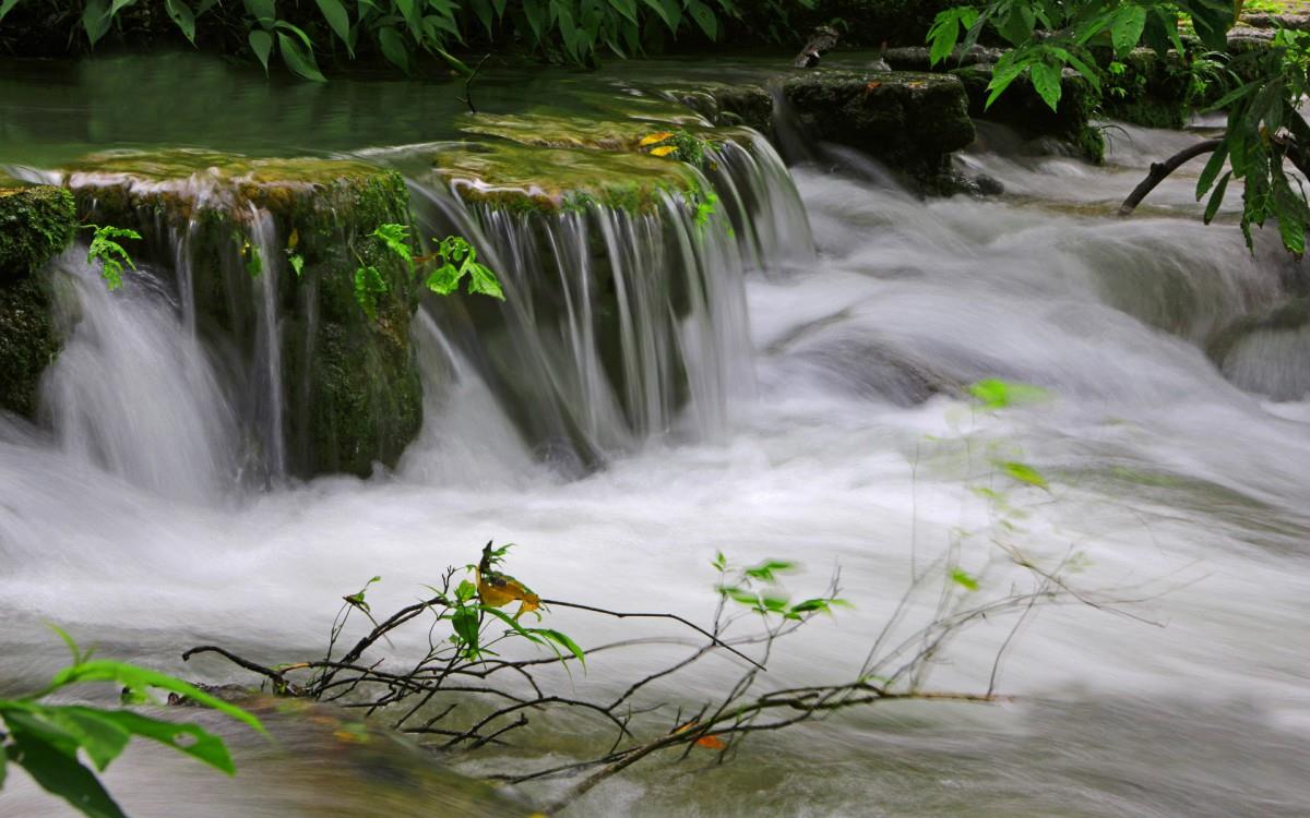 水上森林溪流美景图片