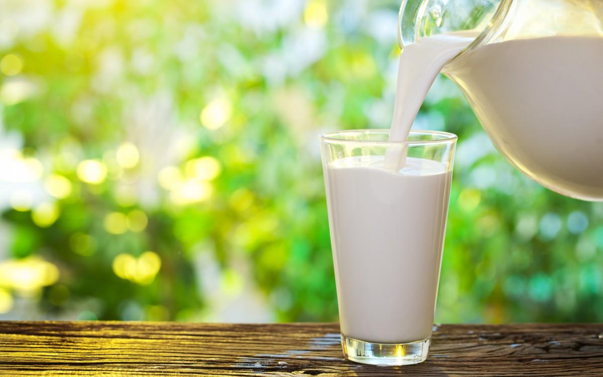 营养奶制品图片