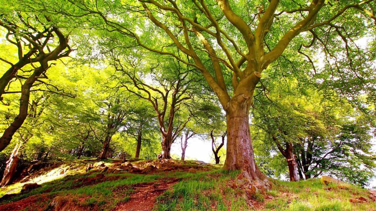 高清宽屏自然风景图片合集