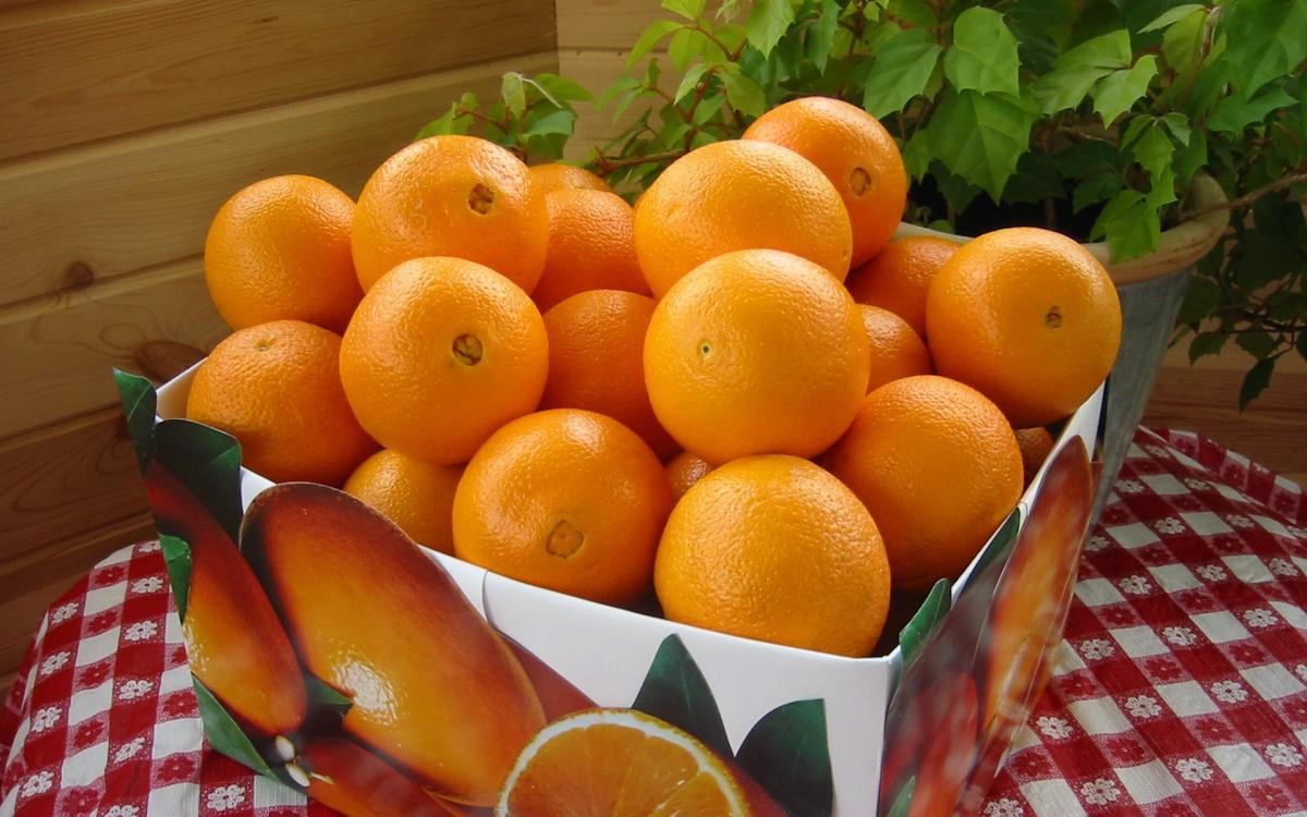 水果桔子高清图片