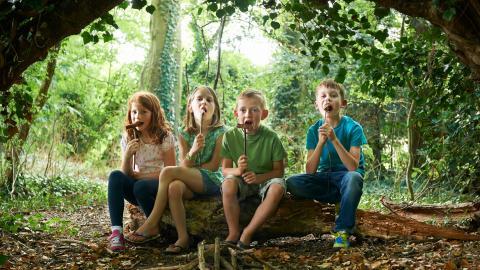 儿童野外露营野营图片