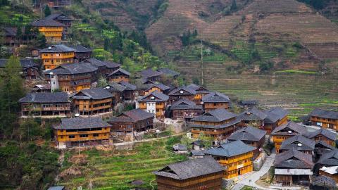 桂林龙胜龙脊梯田图片