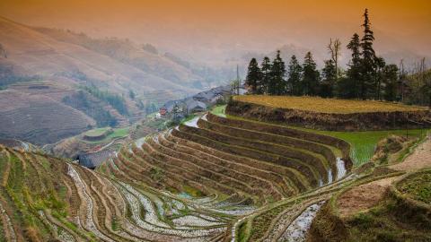 桂林龙胜龙脊梯田图片