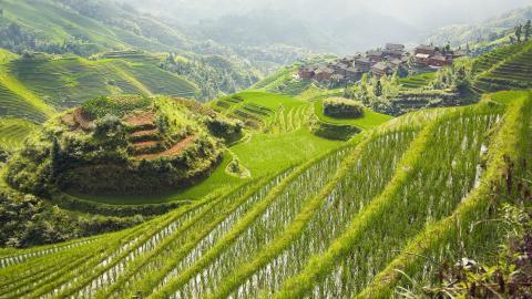 桂林龙胜龙脊梯田图片