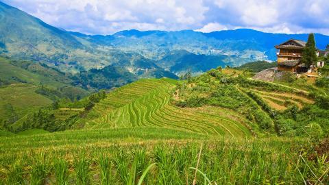 桂林龙胜龙脊梯田图片