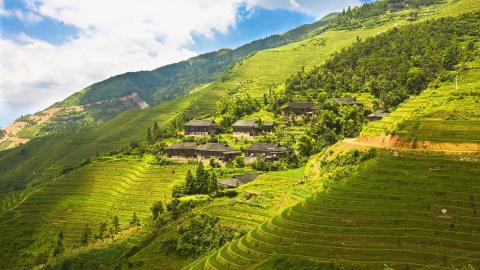 桂林龙胜龙脊梯田图片