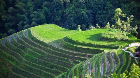 桂林龙胜龙脊梯田图片