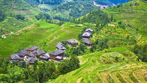 桂林龙胜龙脊梯田图片