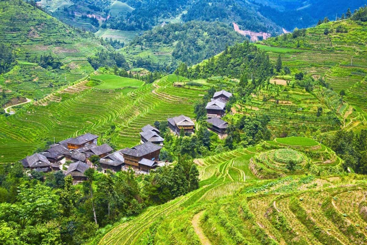 桂林龙胜龙脊梯田图片