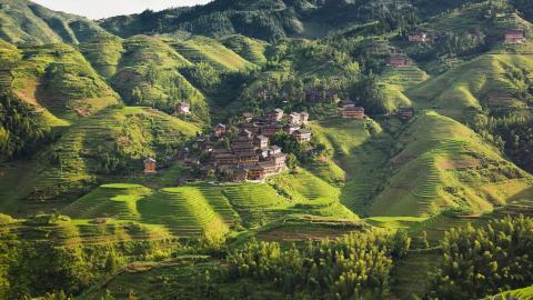 桂林龙胜龙脊梯田图片