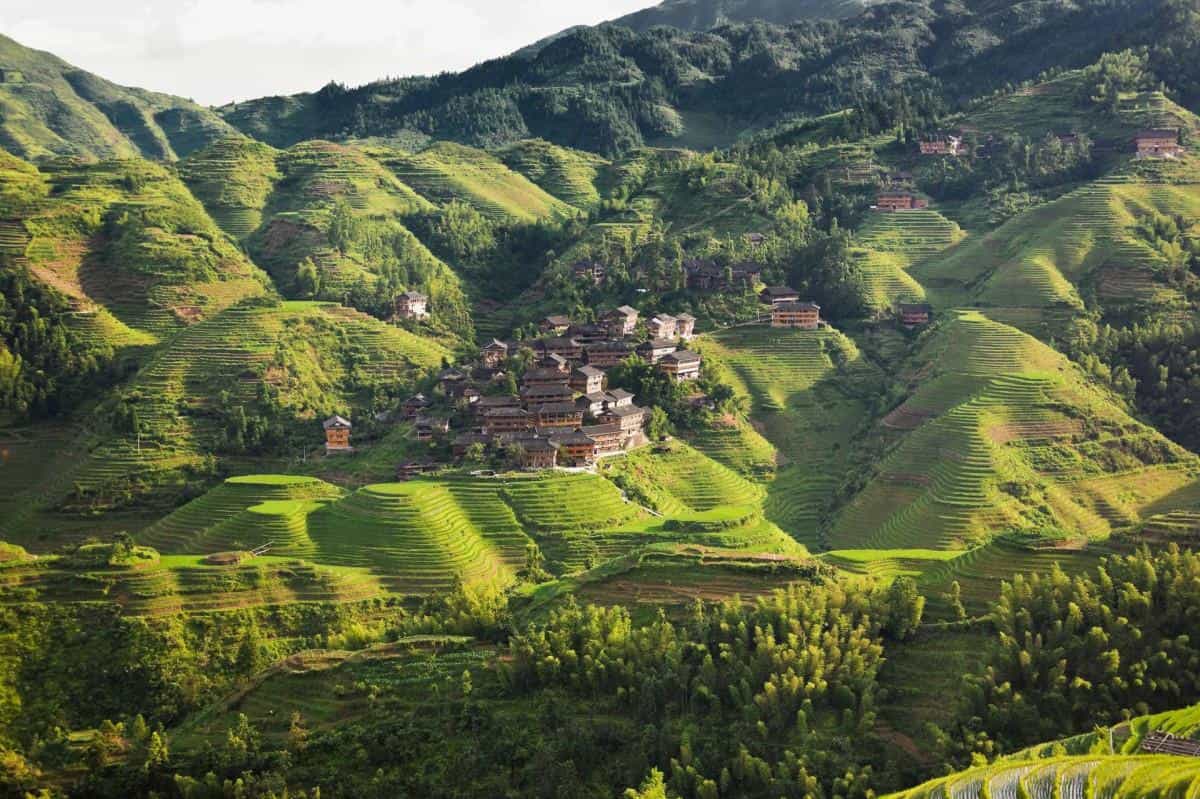 桂林龙胜龙脊梯田图片