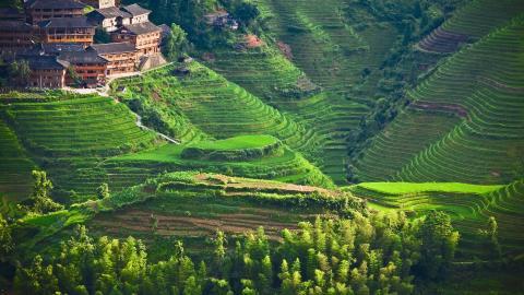 桂林龙胜龙脊梯田图片
