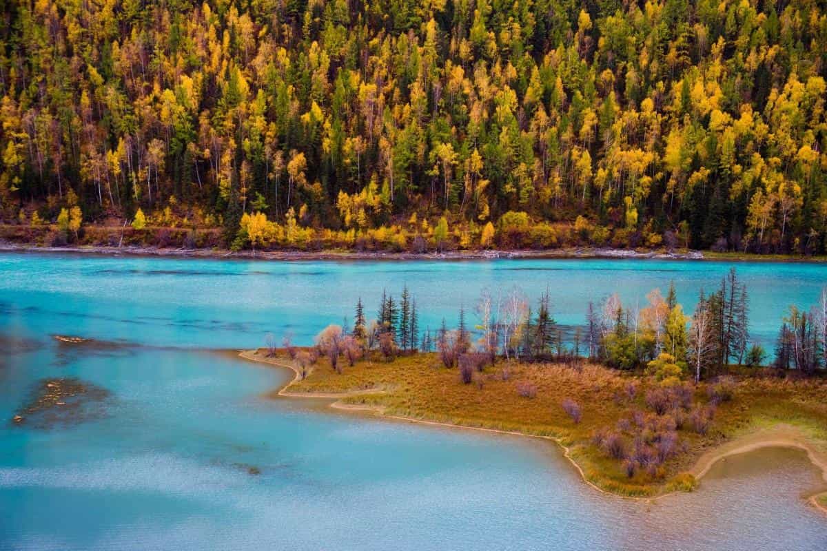 美丽的阿勒泰喀纳斯湖图片