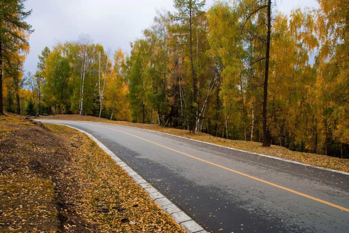 美丽的阿勒泰喀纳斯湖图片