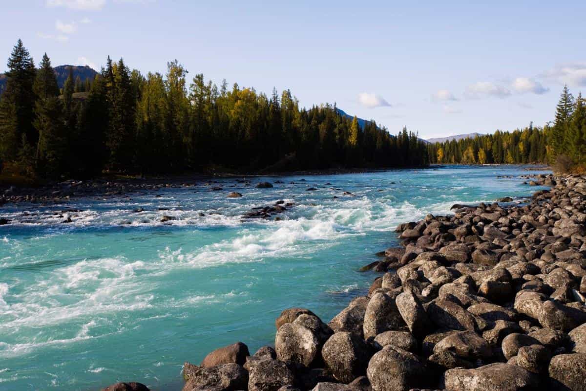 美丽的阿勒泰喀纳斯湖图片