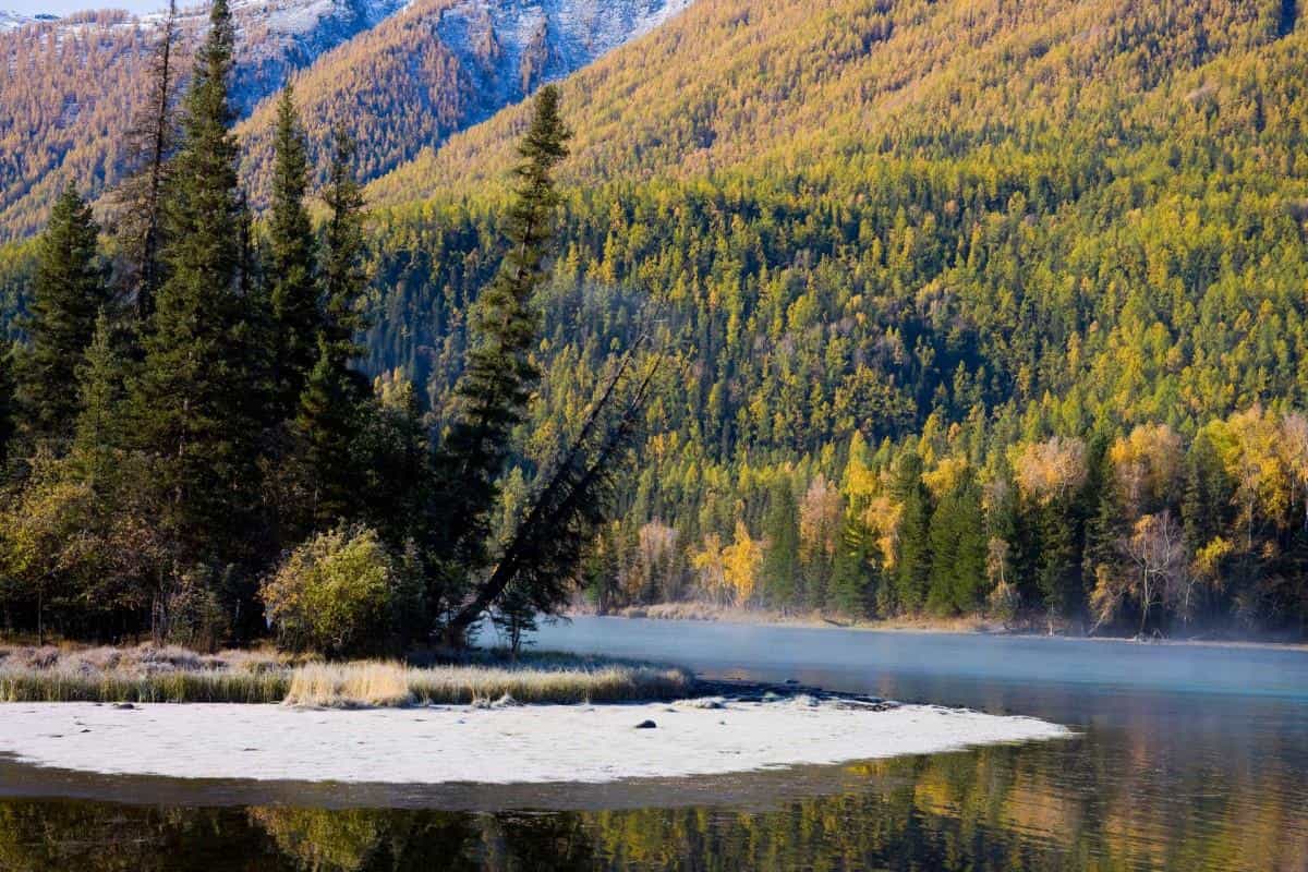 美丽的阿勒泰喀纳斯湖图片