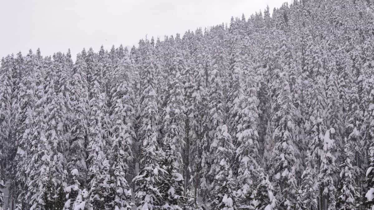 加拿大自然风景图片