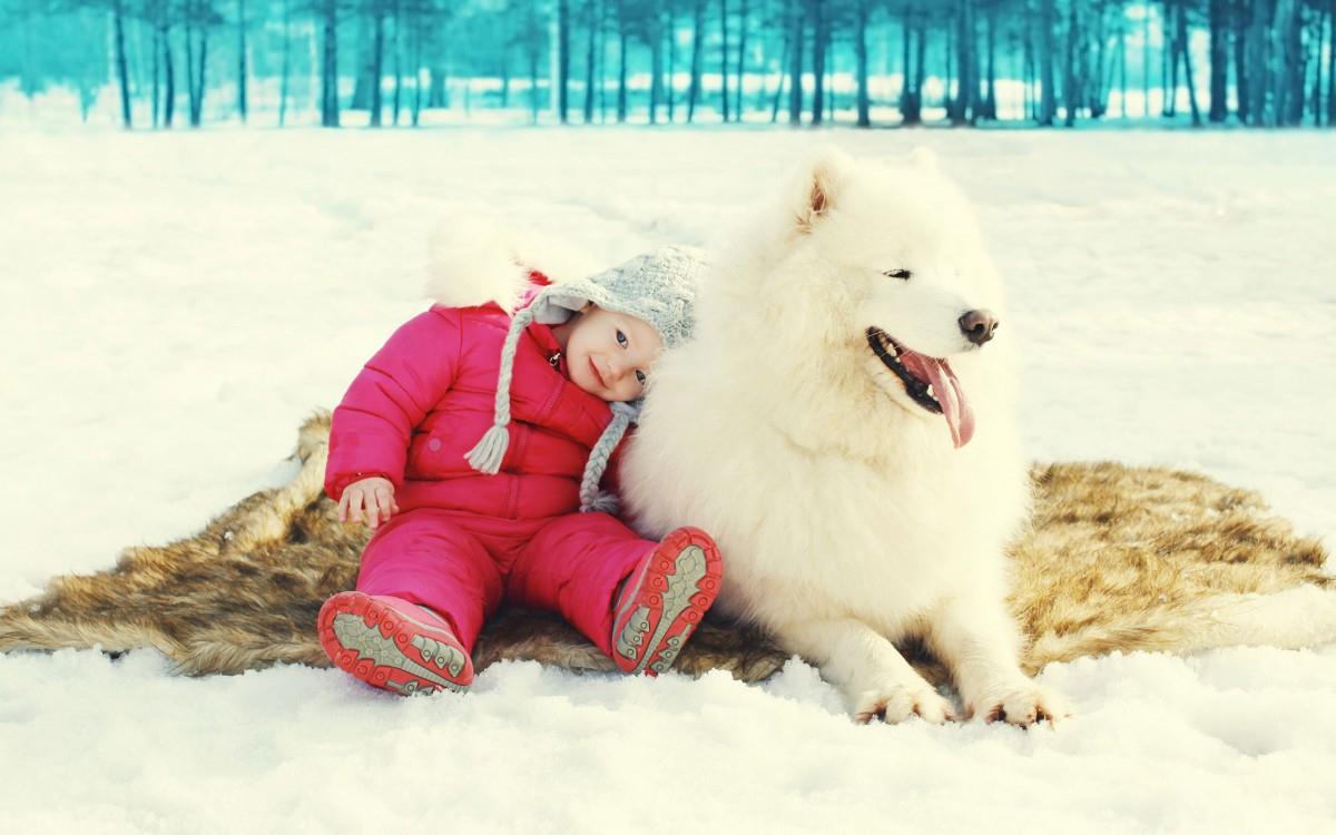 冬季雪地上嬉戏玩耍图片