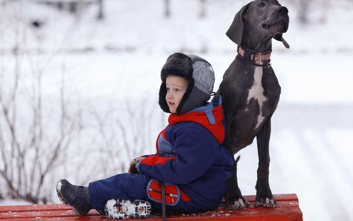 冬季雪地上嬉戏玩耍图片