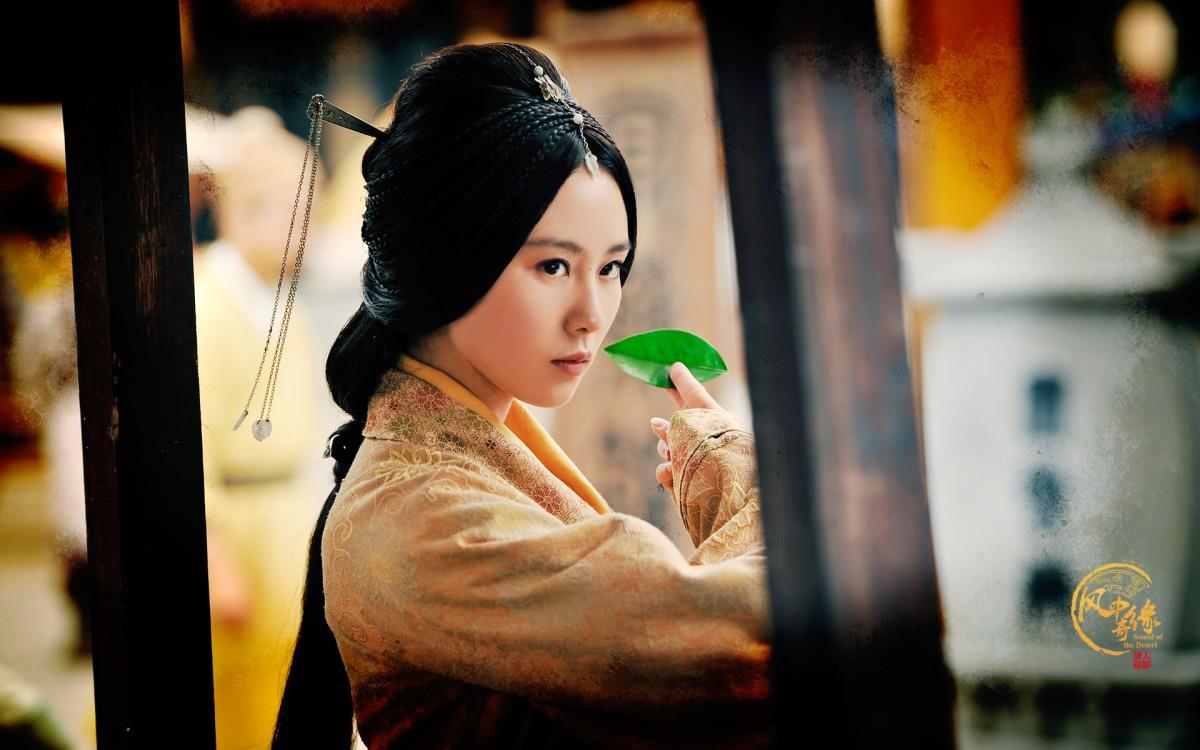 风中奇缘电视剧图片