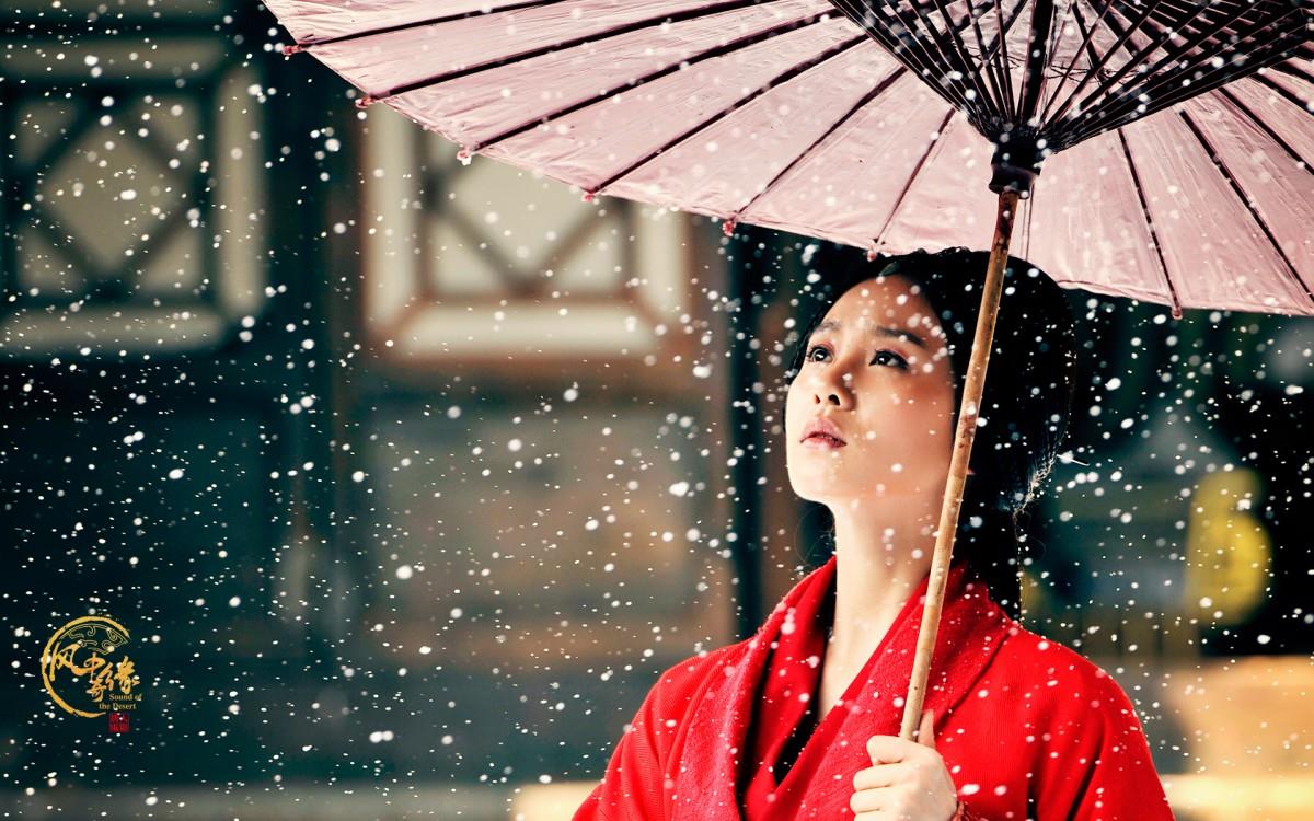 风中奇缘电视剧图片