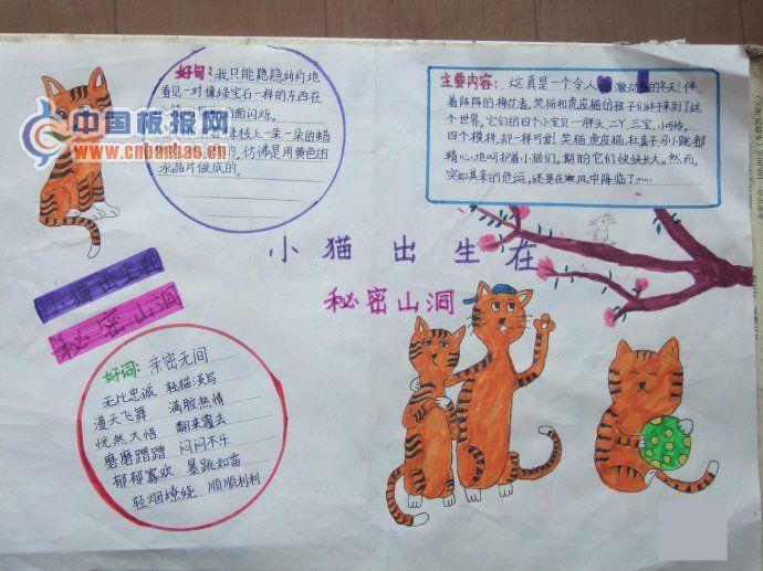 小猫出生在秘密山洞手抄报图片 15张小学生手抄报