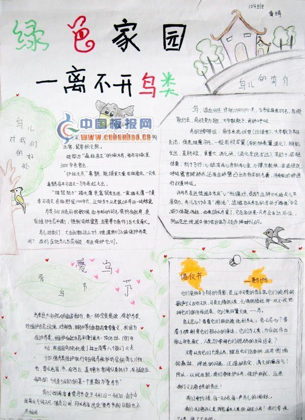 爱鸟节手抄报-绿色家园离不开鸟类 13张环保手抄报