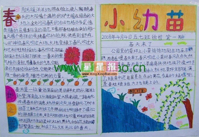 小幼苗手抄报题目（五七班设计） 9张春天手抄报