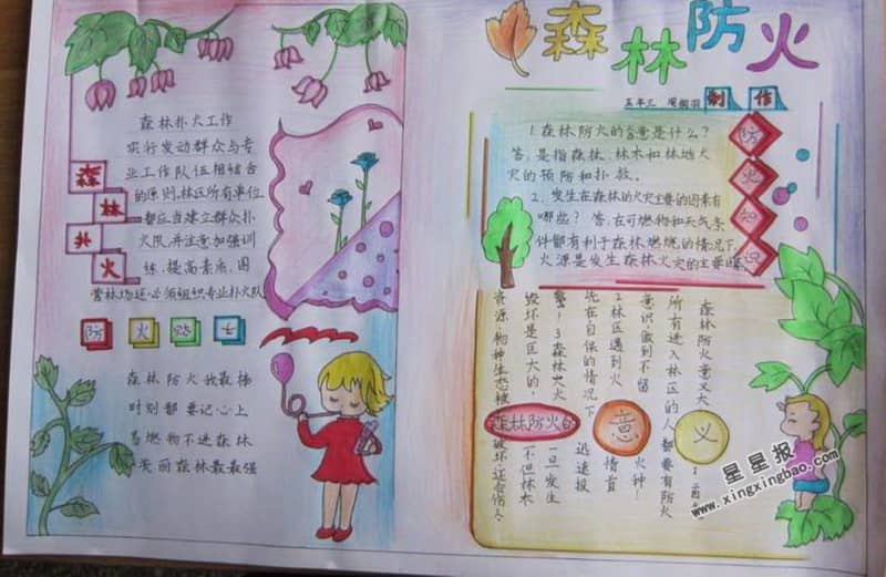 森林防火手抄报资料 11张小学生手抄报