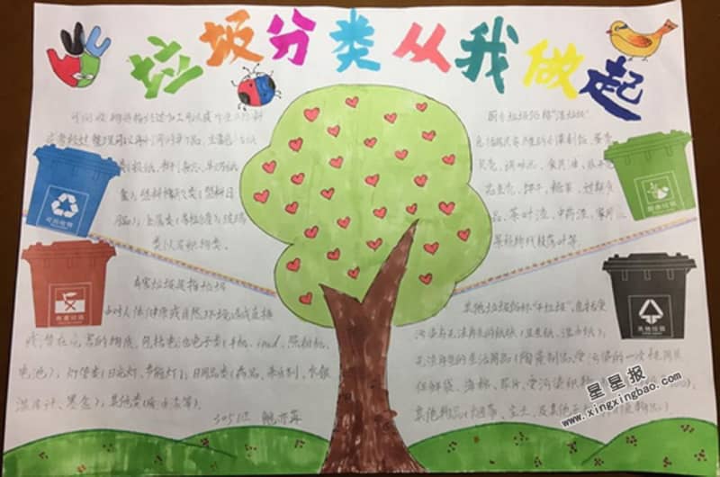 垃圾分类从我做起手抄报内容 15张小学生手抄报