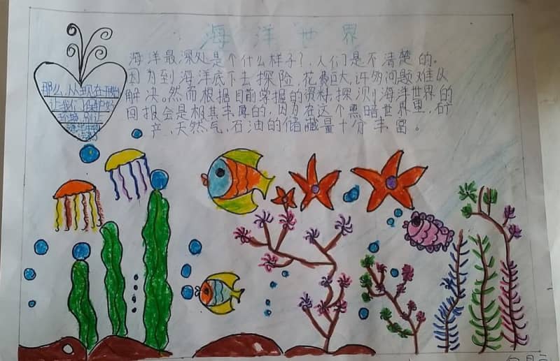 海洋世界手抄报图片 11张小学生手抄报