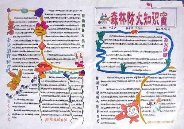 森林防火手抄报，森林防火知识窗 9张森林防火手抄报