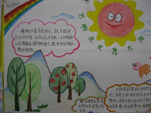 科普手抄报，万物生长靠太阳 12张科普手抄报